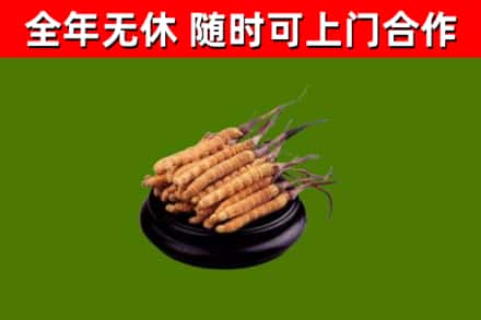 美兰区烟酒回收冬虫夏草.jpg