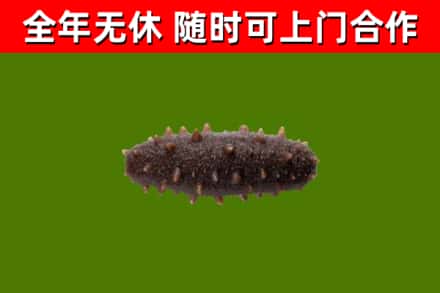 美兰区烟酒回收干海参.jpg